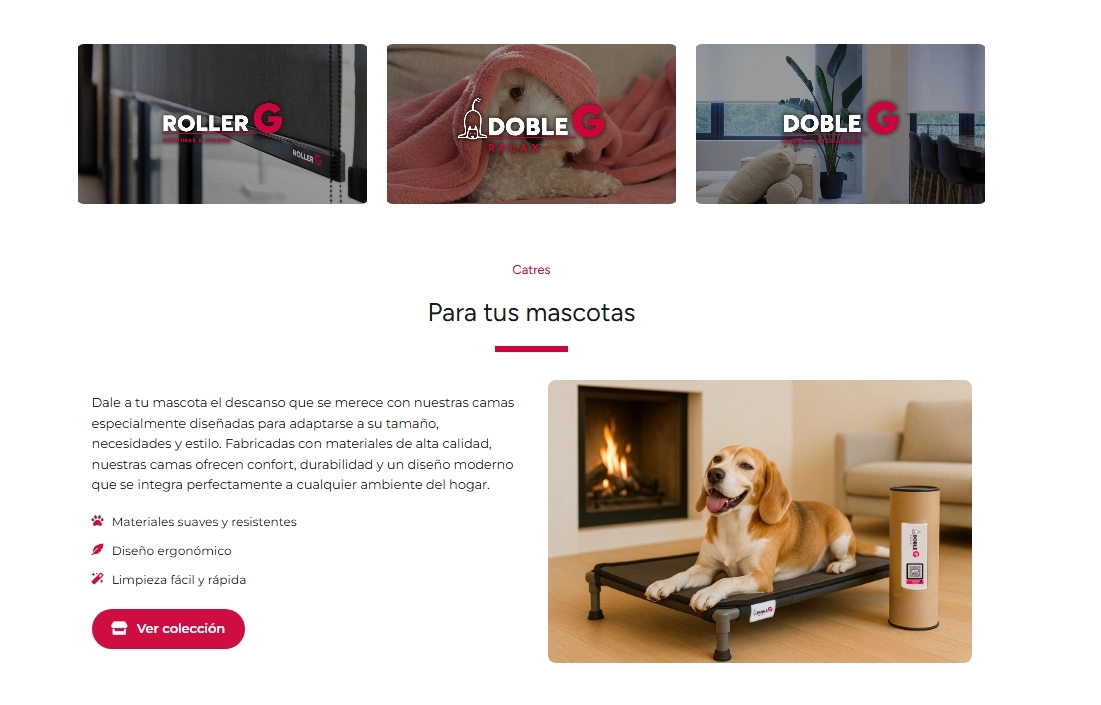 Primera vista del proyecto DobleG
